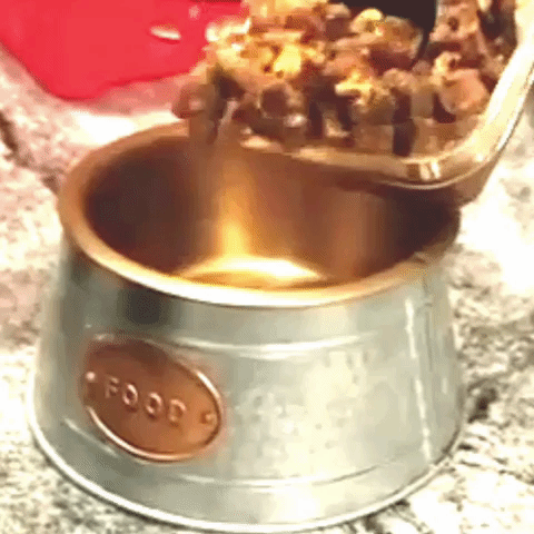 Chunky Meals for Dogs